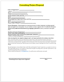 Consulting proposal template