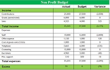 Non profit budget template