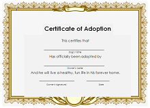 adoption papers