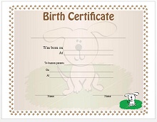 birth certificate sample