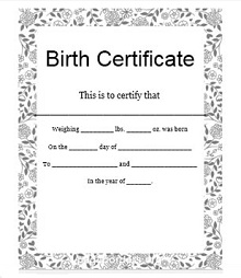 create a birth certificate