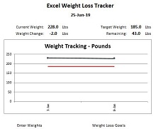 excel spreadsheet for weight loss competition