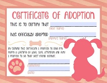 50 Adoption Certificate Template Pdf Word 2019 Excelshe