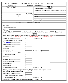 Income and Expense Statement Form For Court