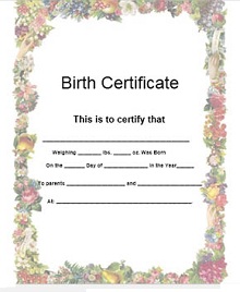 birth certificate example
