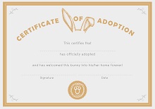 fake adoption certificate
