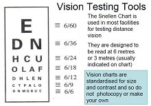 Vision Testing Tool PDF