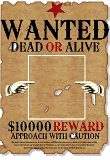 wanted poster examples