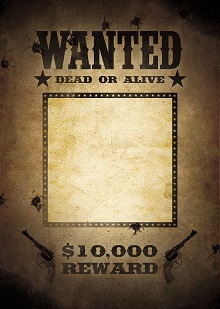 wanted flyer