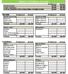 activity budget template