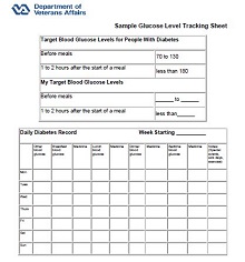 Sample Glucose Level Tracking Sheet
