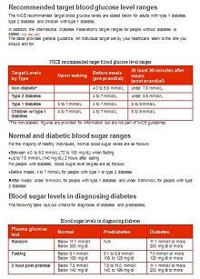 blood sugar log sheet excel