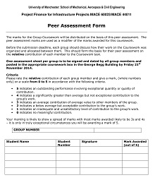 Peer Assessment Form in PDF