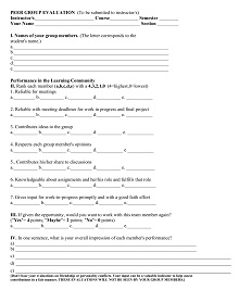 Peer Group Evaluation Form Template