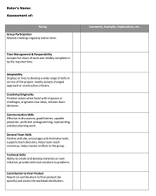 Self and Peer Assessment Form PDF