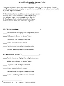 Self and Peer Evaluation of Group Project