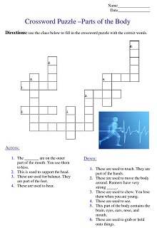 Crossword Puzzle - Parts of the Body