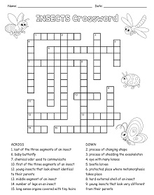 Insects Crossword Puzzle
