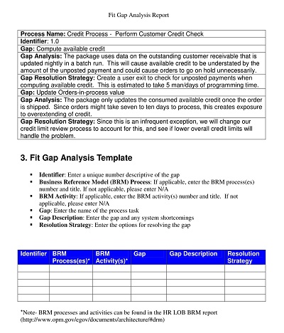 Fit Gap Analysis Report Template