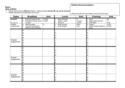 Daily Food Log Template Word