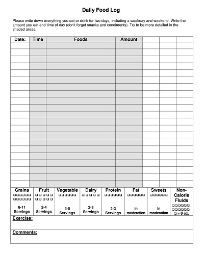 Standard Daily Food Log Form Template