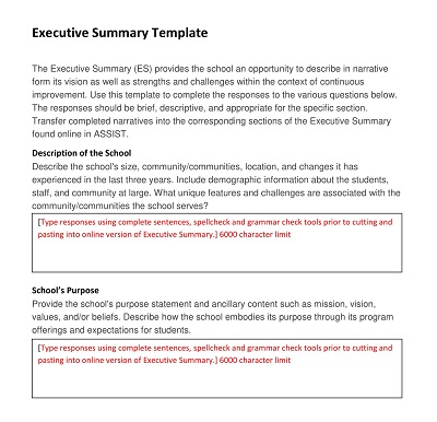 Advanced Executive Summary Template