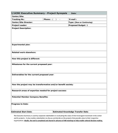 Editable Executive Summary Form Template