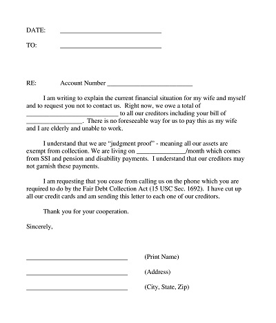 Judgement Proof Of Income Letter Template