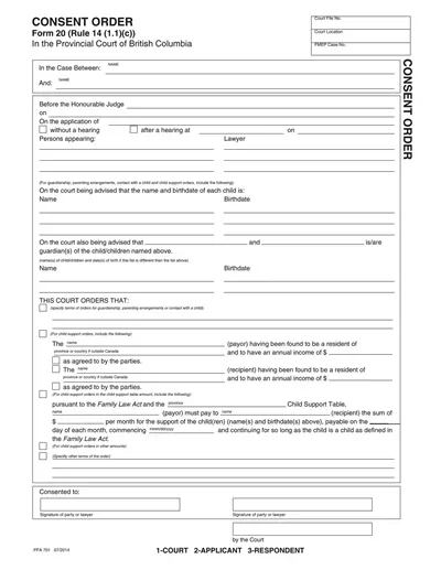 Blank Consent Order Template